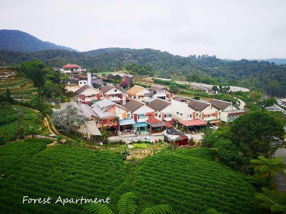 Crown Imperial Court Apartment คาเมรอนไฮแลนด์ ภายนอก รูปภาพ